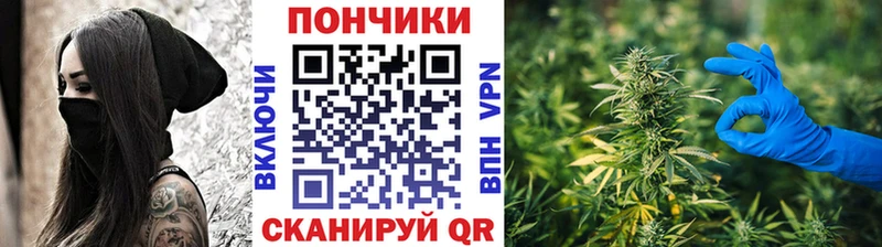 Канабис OG Kush Щёлково