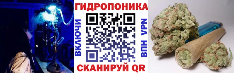 Каннабис ГИДРОПОН  Щёлково 